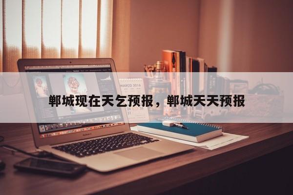 郸城现在天乞预报，郸城天天预报  第1张