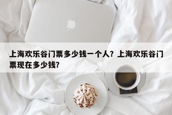 上海欢乐谷门票多少钱一个人？上海欢乐谷门票现在多少钱？  第1张